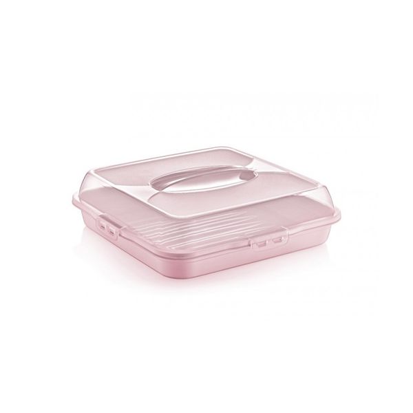 Dessert container with lid, low