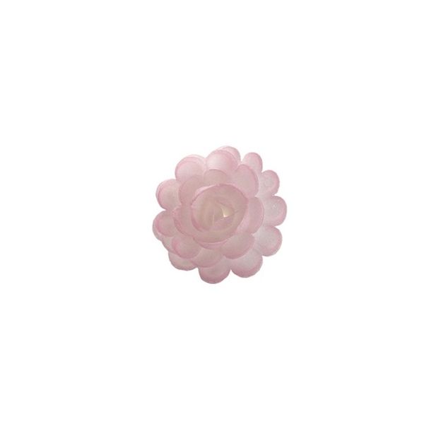 Róż waflowy angielski duży różowy cieniowany 1/35